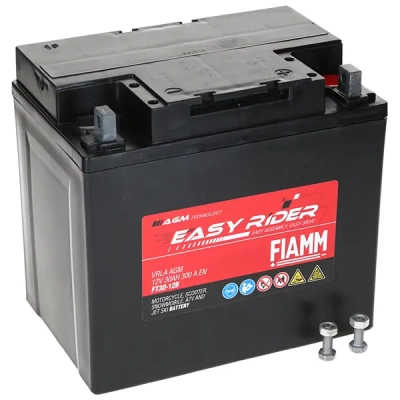 Fiamm Easy Rider FT30-BS 30Ah 300A (184*124*170)  P+