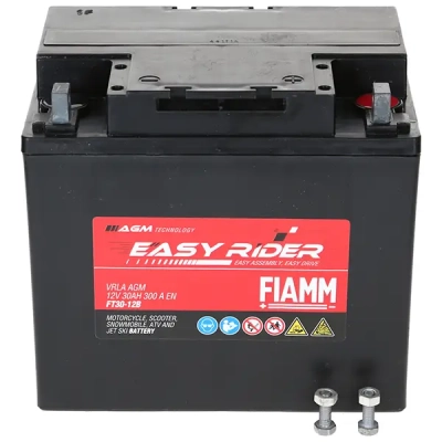 Fiamm Easy Rider FT30-BS 30Ah 300A (184*124*170)  P+